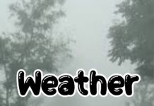 उत्तराखंड Weather Alert: देहरादून समेत कई जिलों में ऑरेंज अलर्ट, भारी बारिश की चेतावनी