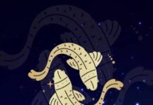 मीन राशि के जातकों के लिए वर्ष 2025 में क्या हैं संभावनाएं और सुझाव? जानिए कैसा रहेगा ये साल?