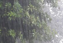 उत्तराखंड के 5 जिलों में ऑरेंज अलर्ट, आकाशीय बिजली और ओलावृष्टि की चेतावनी