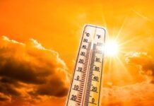 उत्तराखंड Heatwave Alert: कई जिलों में 40°C से अधिक तापमान की चेतावनी