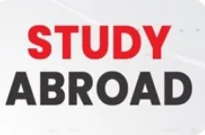 study abroad
