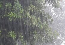 Uttarakhand Rain: उधम सिंह नगर में सर्वाधिक बारिश, गुलरभोज में 91.5 मिमी वर्षा दर्ज