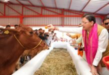 हल्दीघेरा में ₹7.23 करोड़ की गौशाला का CM धामी ने किया लोकार्पण, ₹108.84 करोड़ की 15 योजनाओं का शिलान्यास